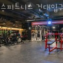 박스피트니스 이미지