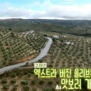 최원영농장 이미지