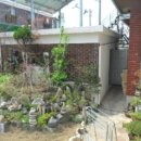 덕진-117 이미지