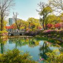 황지 - 의정부시 | 황지