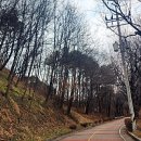 필봉다방