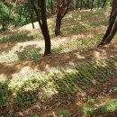 풀꽃농장 이미지