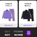 널디 - 33875 | 널디