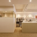 디씨티라인 이미지