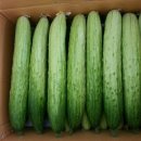 가브리엘농장 이미지