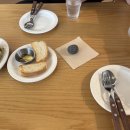 강남-029 | 7월 일상, 두 번째