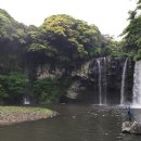 천지연 폭포 이미지