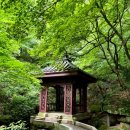 너럭바위 | 석파정 서울미술관 7,8월 여름풍경과 너럭바위