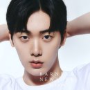 바니스 이미지