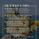 블루밍메모리 이미지