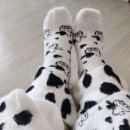 알리익스프레스 암소반점 프린트 양말 젖소양말 리뷰 나 속았네?