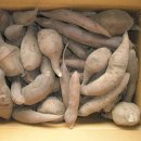 이화숙농장 이미지