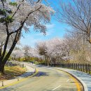 팔도카부분정비 이미지