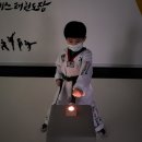 용인대 I 태권도장 이미지