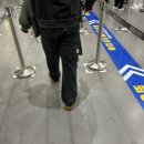 유림초등학교 | 대문자P들과 일본여행