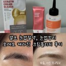 짙은눈썹 관리법 (눈썹탈색, 다듬기) 모레모 케라틴 크림 블리치 내돈내산 후기