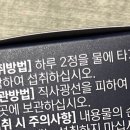 그린디 이미지