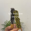 [원주 개운동] 수제빼빼로 선물 추천 디저트가 맛있는 카페 : 버터상점