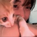 황순호 Daum카페