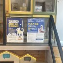 군포굿닥터동물병원 이미지