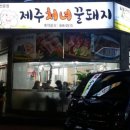 제주처녀꿀돼지