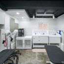 플러스 애견미용실 이미지