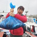 오늘도 만쿨~ 우럭낚시 조황11/3 / 장고항 주변에 삼길포항 한진포구 평택항 전곡항 궁평항 있지만 선상낚시 장고항이 짱~^^ 이미지