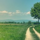 능내1리 마을회관 이미지