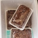 벧엘떡방아간 이미지