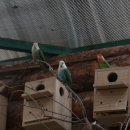 주주 농장 이미지