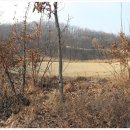 월산1리 이미지