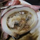 산오징어 이미지