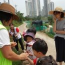 공동직장 푸른들어린이집 이미지