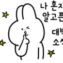 횡성참옻 이미지