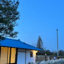 돌담과 초록 이미지