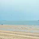 산타나모텔 이미지