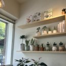 누솜:우리 이미지