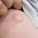 부천상동지사 | 부천상동 독감 예방주사 후기_팔뚝에 찌릿!