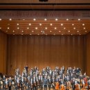 서귀포시청소년오케스트라 이미지