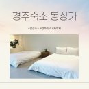 경주경북약국 | [경북 경주 숙소] 경주 여행 숙소 고민 끝! 몽상가 솔직 후기(인생샷가능)