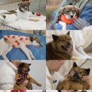 전진농장 이미지