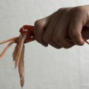 비선말 | 비선상회 프리미엄 동해안 홍게, 라면부터 볶음밥까지 만점