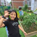 수곡초등학교 이미지