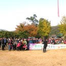 용전리 | 반룡산 가을산행 후기 /반룡산의 아름다운 산행1