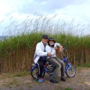 고수부지 이미지