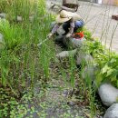 남대구초등학교 이미지