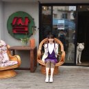 효리네 민박 이미지