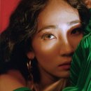 1719 이미지
