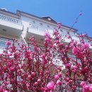 장당계곡펜션 이미지