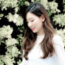 TY 티스토리